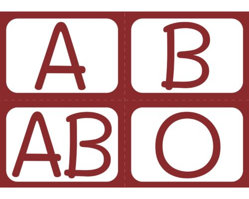 เกม4 Blood Group Family