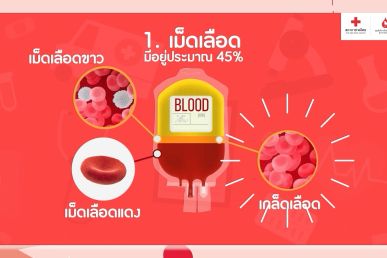 บริจาคเลือด 1 ยูนิต ช่วยชีวิตผู้ป่วยได้ 3 คน