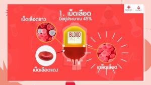 บริจาคเลือด 1 ยูนิต ช่วยชีวิตผู้ป่วยได้ 3 คน