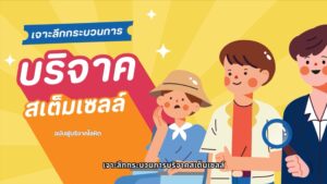 เจาะลึกกระบวนการบริจาคสเต็มเซลล์