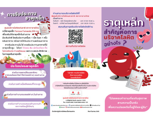 ธาตุเหล็กสำคัญต่อการบริจาคโลหิตอย่างไร