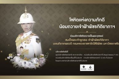 โลหิตแห่งความภักดี น้อมถวายเจ้าฟ้าพัชรกิติยาภา ฯ